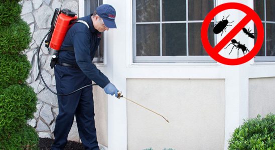 Bulanık Karınca İlaçlama böcek ilaçlama ve haşere kontrolü — ilaclama-tr.com